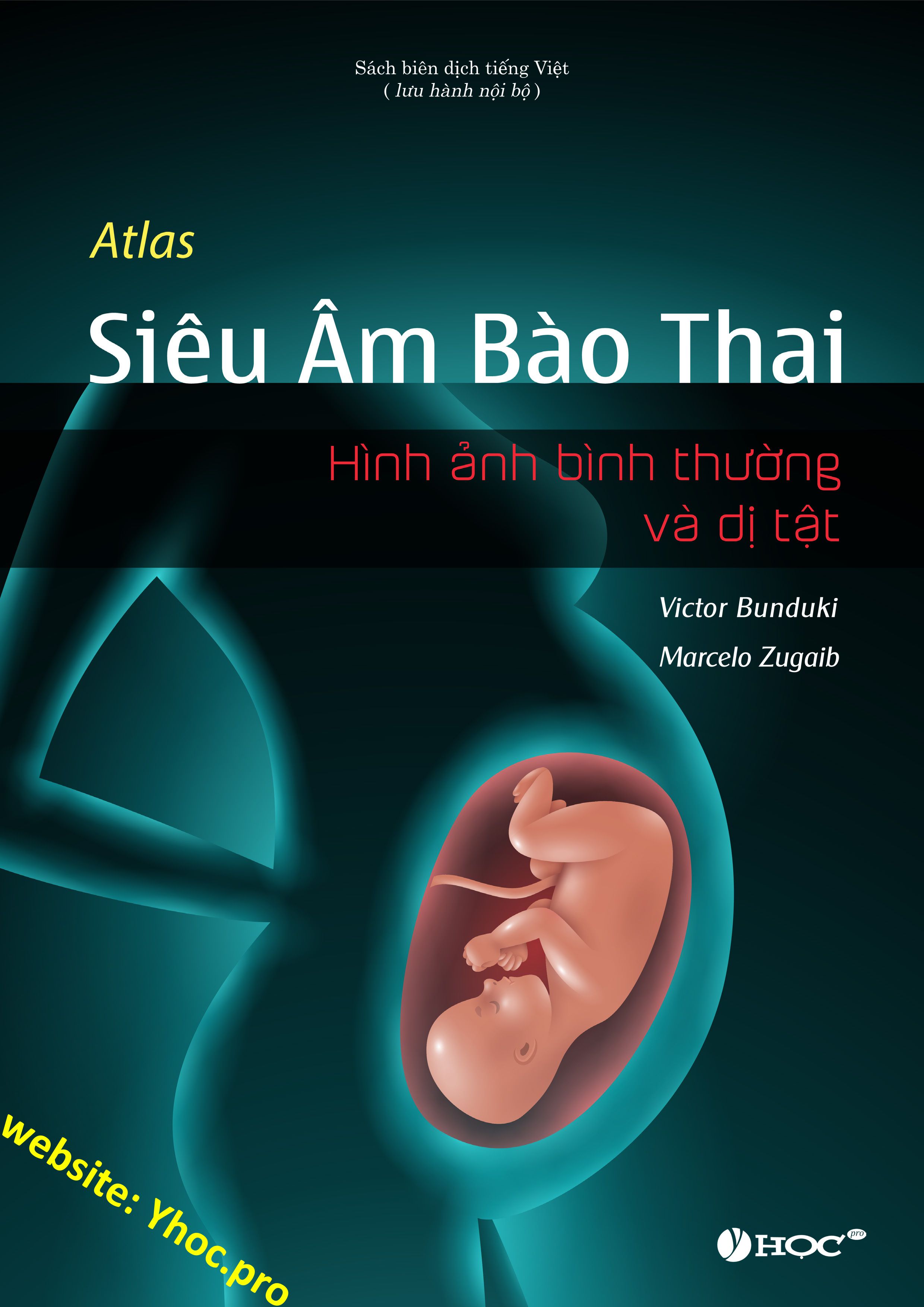 Siêu âm thai nhi 2 tuần tuổi được không  Nhà thuốc FPT Long Châu