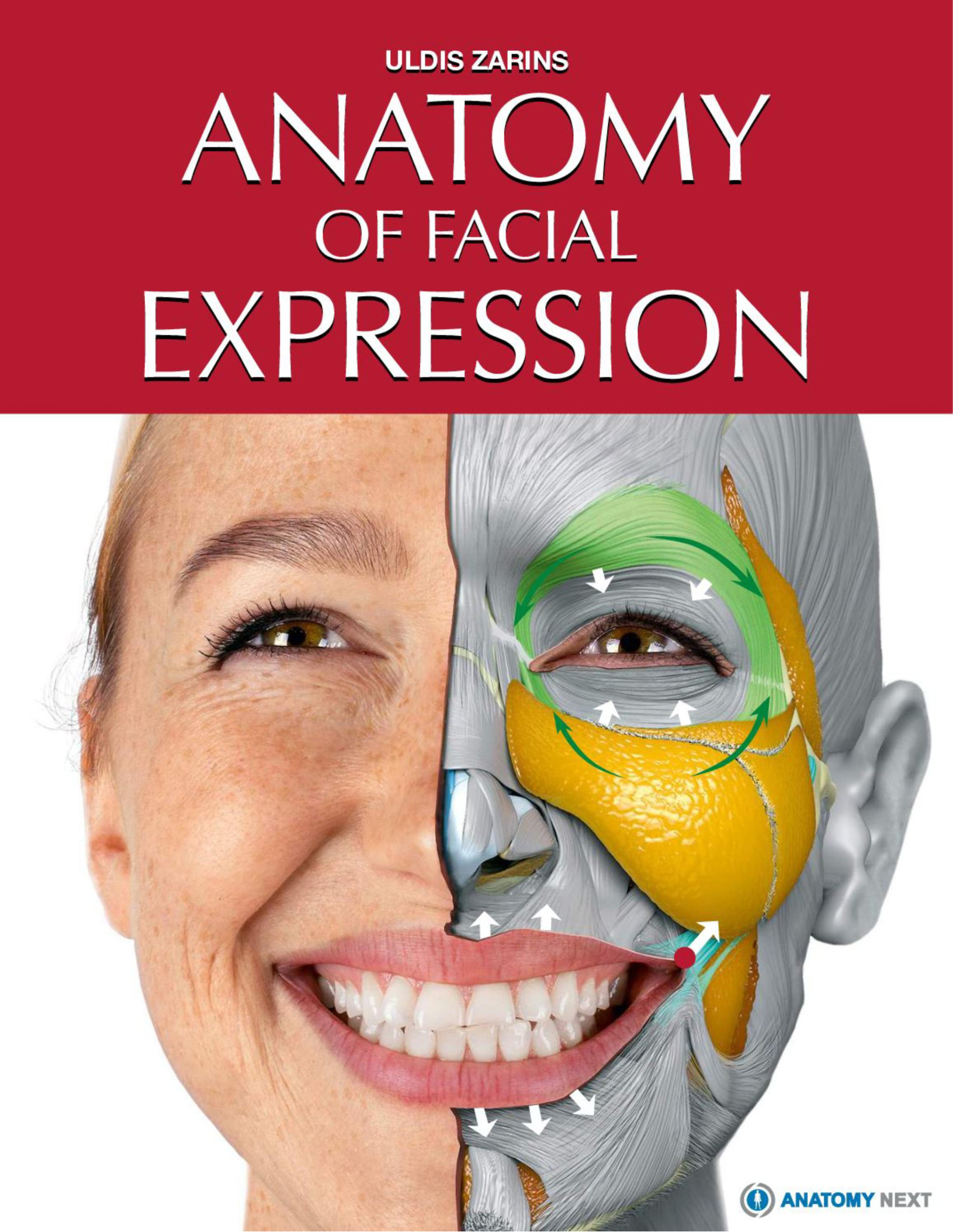 Cấu trúc biểu cảm trên khuôn mặt sẽ giúp bạn hiểu rõ những cảm xúc và tâm trạng của người khác. Để có thể hiểu được ngôn ngữ cơ thể của người khác, bạn cần phải tìm hiểu về cách mà biểu cảm trên khuôn mặt được tạo ra. Hãy xem hình ảnh về cấu trúc biểu cảm trên khuôn mặt để tự mình xác định được những tín hiệu cơ thể của mình và người khác.